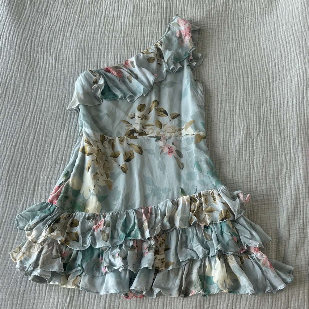 REVOLVE Floral Ruffled Dress - Light Blue and Cream